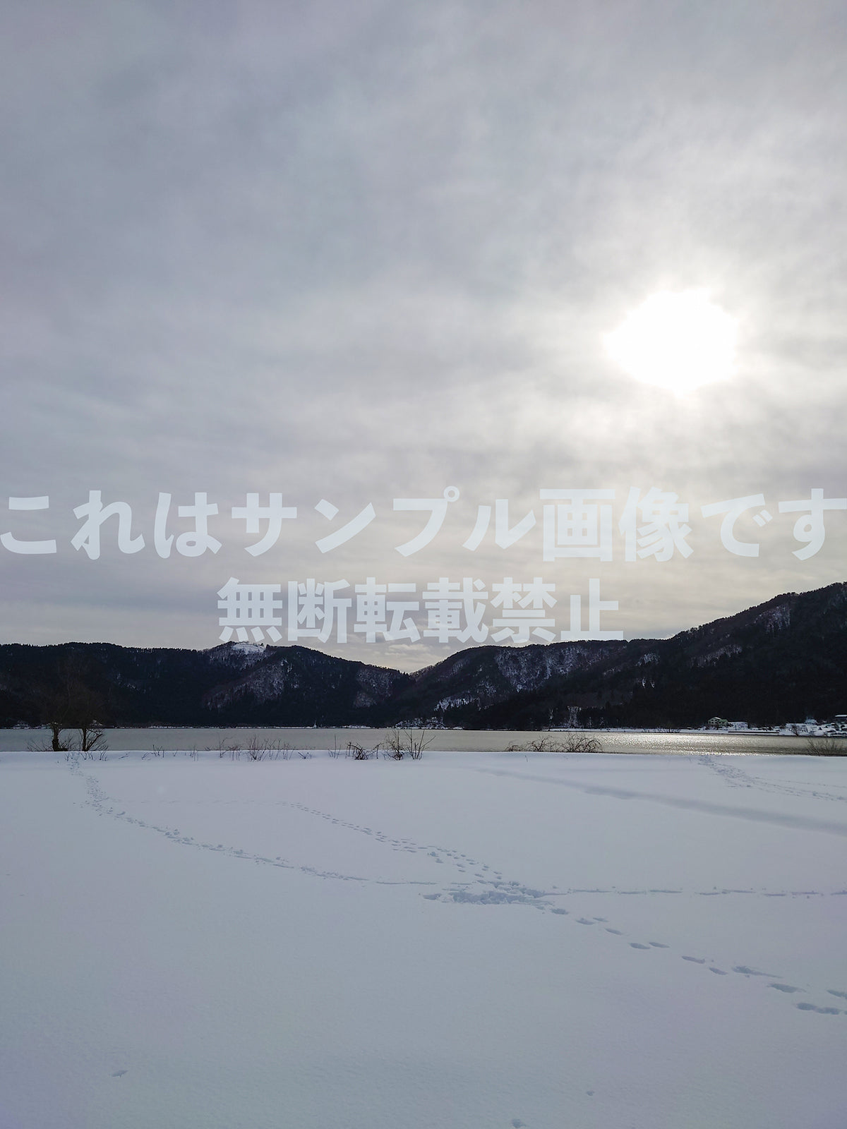 雪原の足跡_1