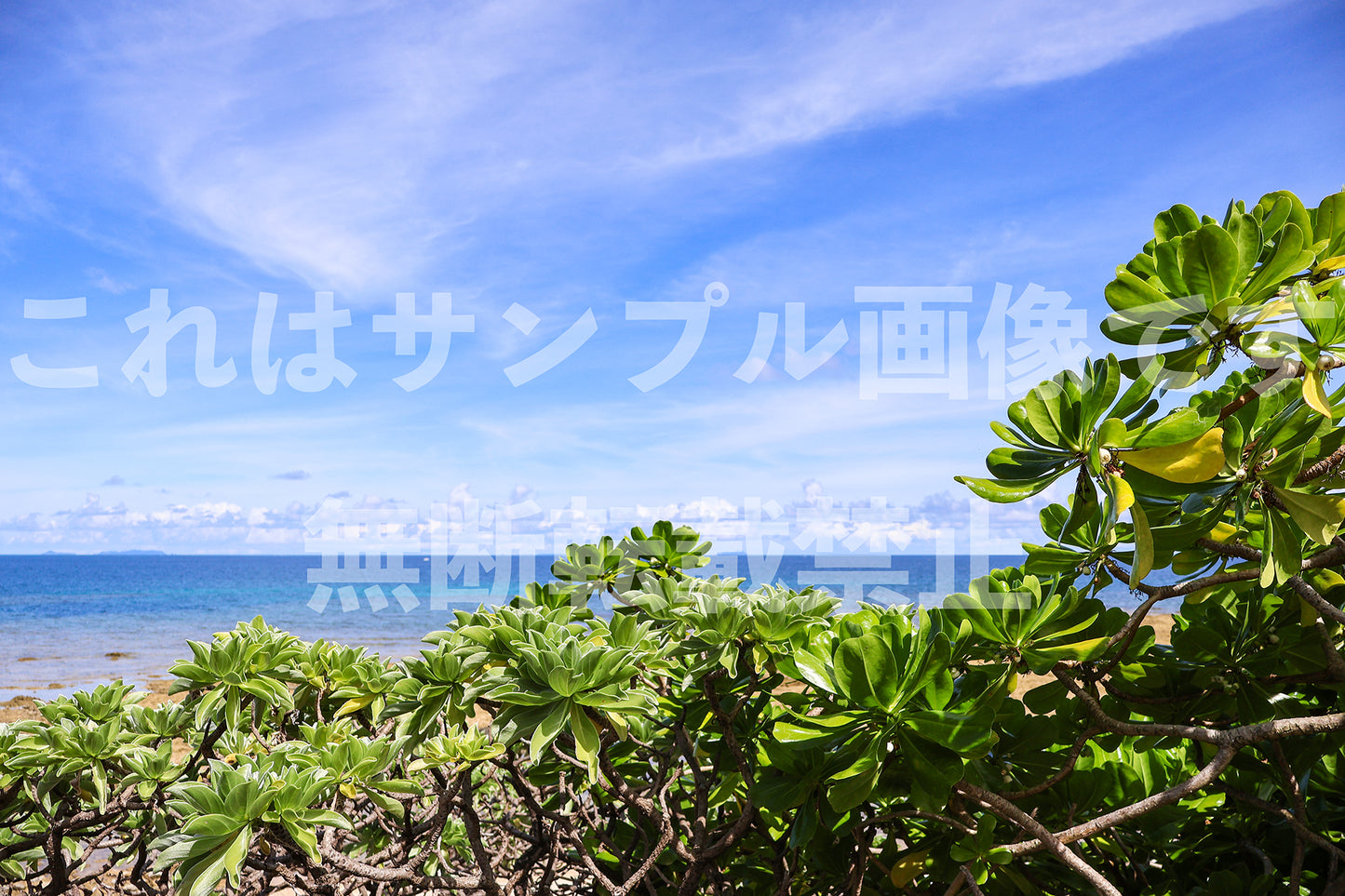 海と空_9