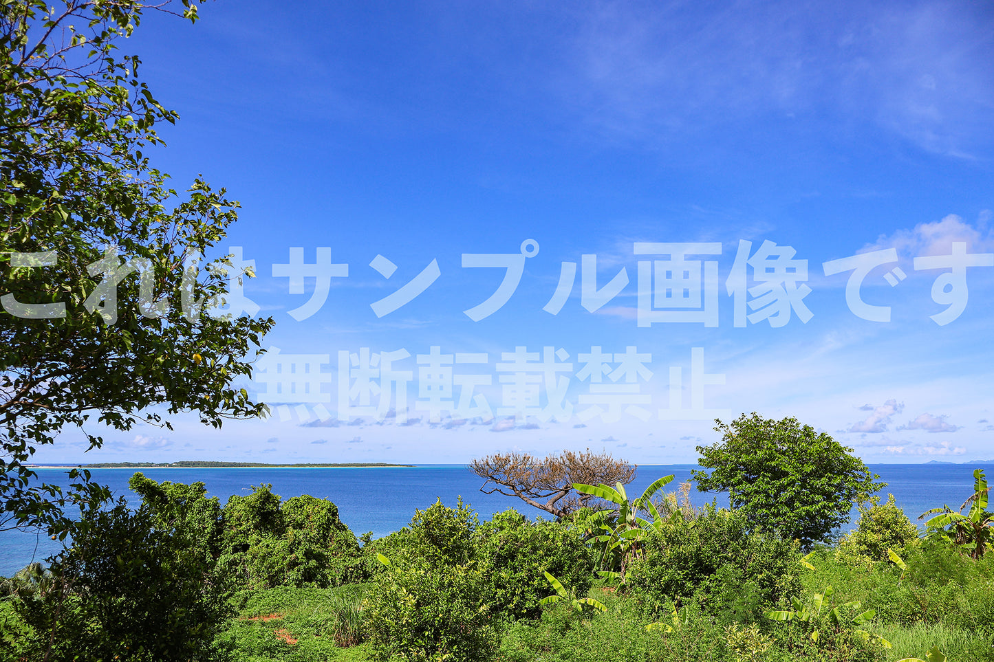 島_5
