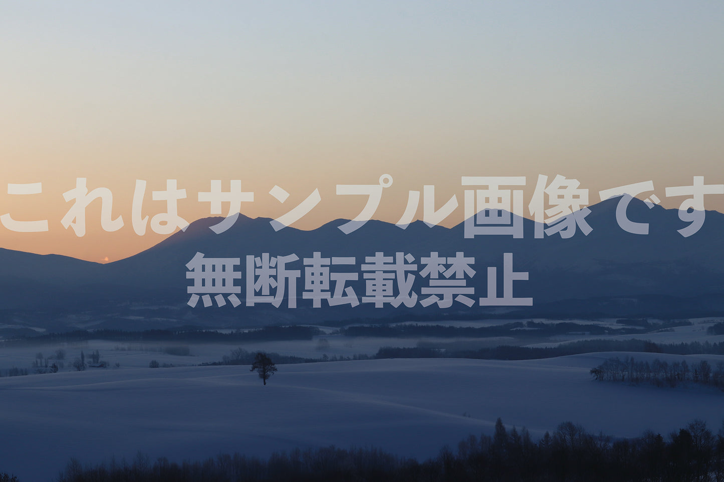 Snowy landscape_2