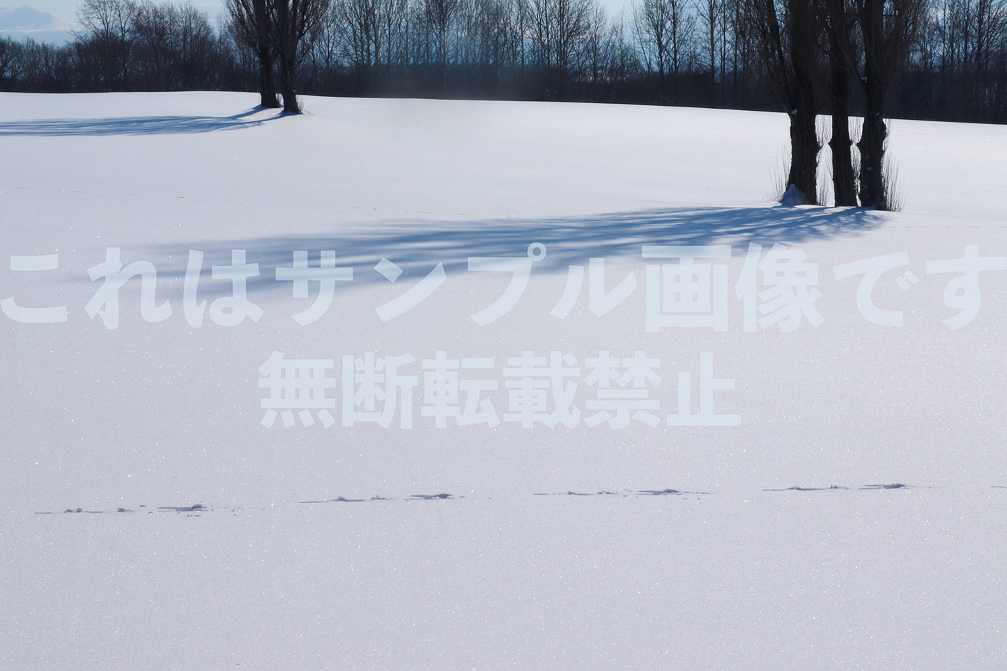 Shadow_1