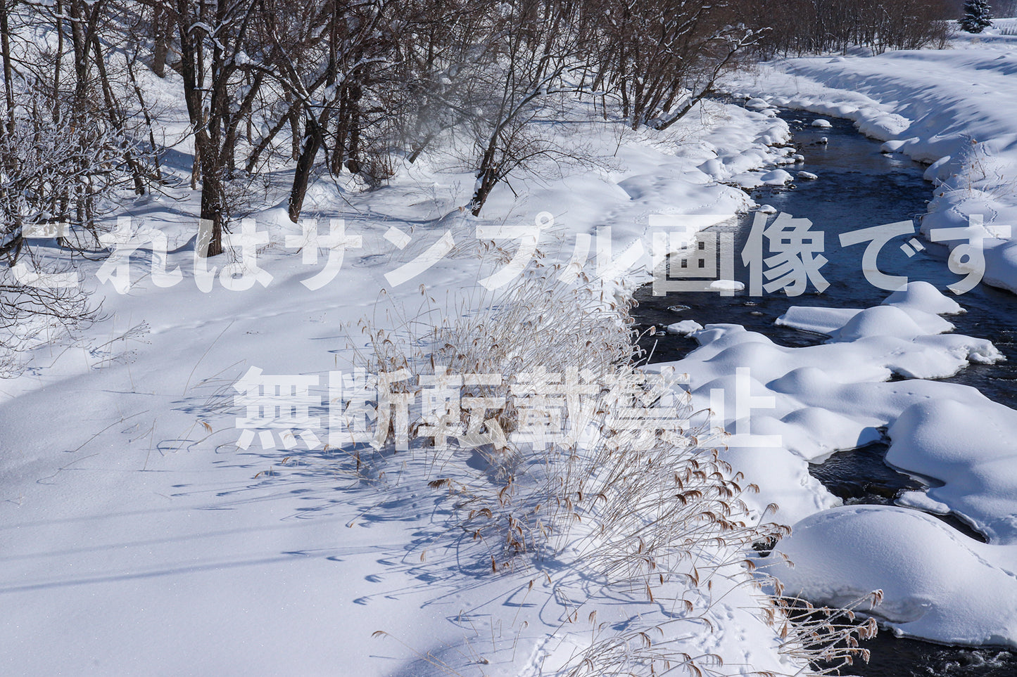 Snowy Riverside_1