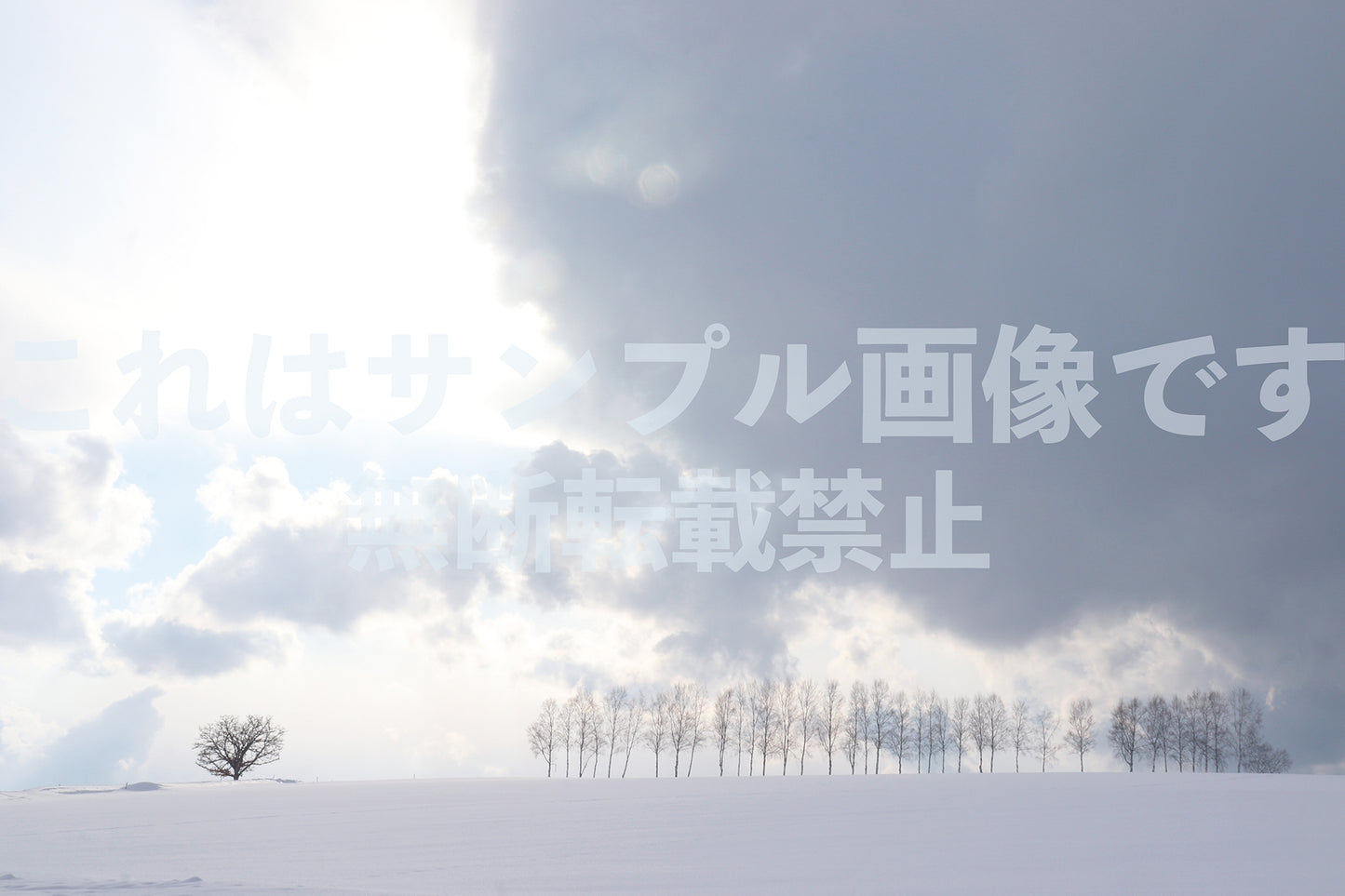 Snowy Landscape_11