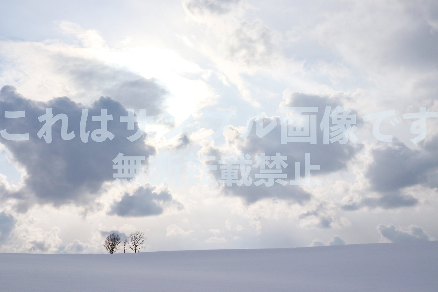 Snowscape_13