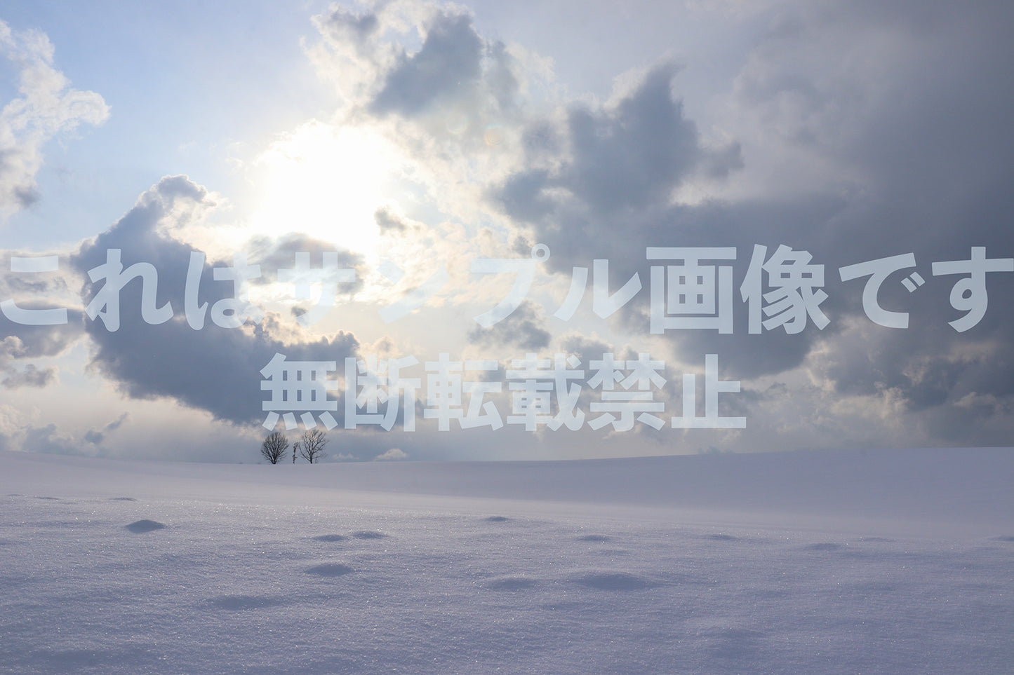 Snow scene_5