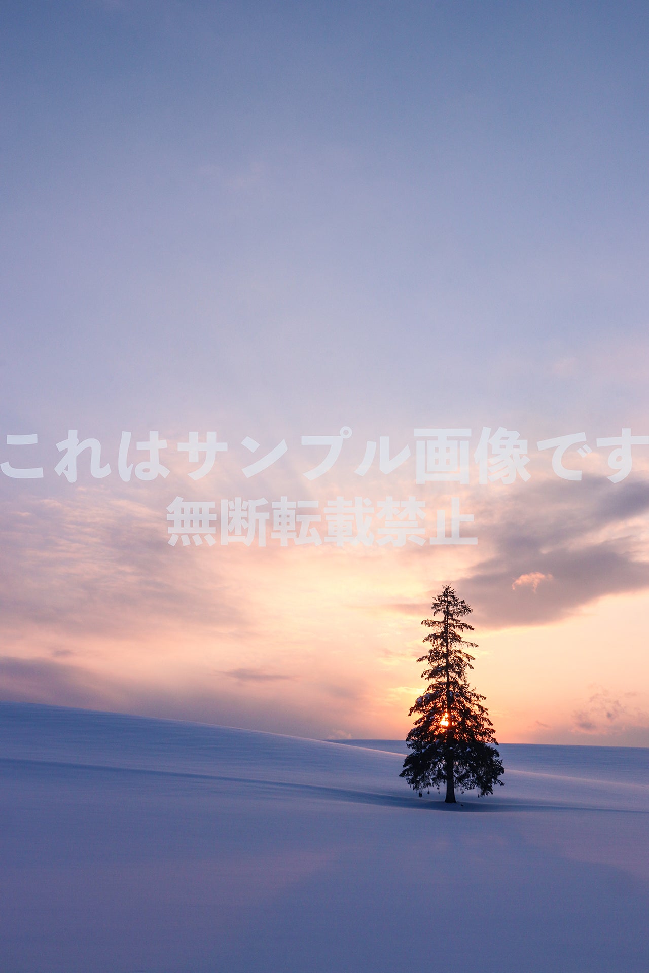 A lone tree in a snowy field_6