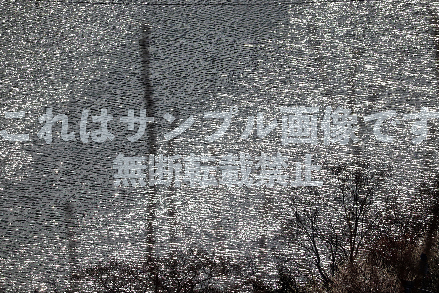 Surface of Water_2