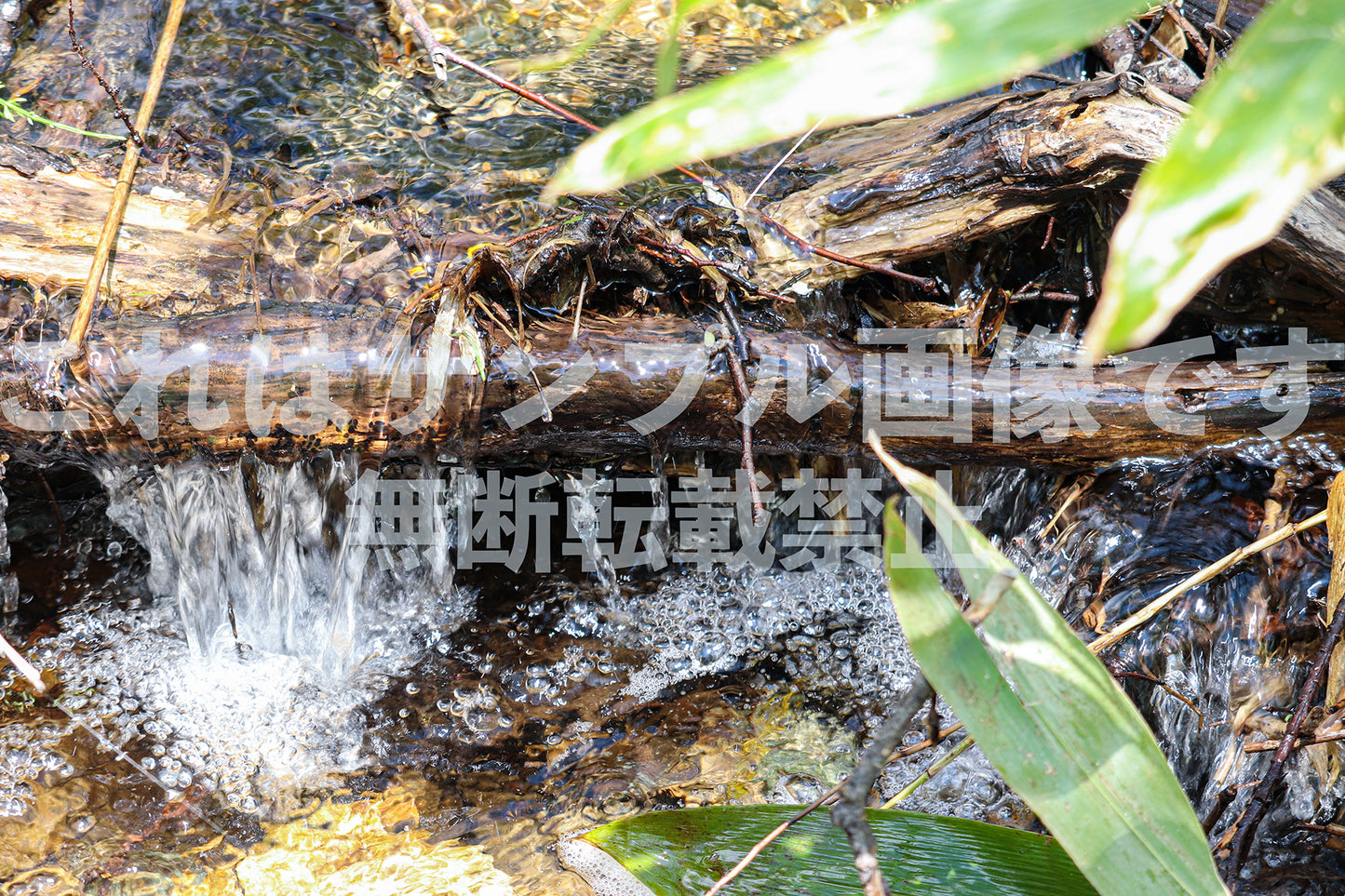 Babbling of a clear stream_1
