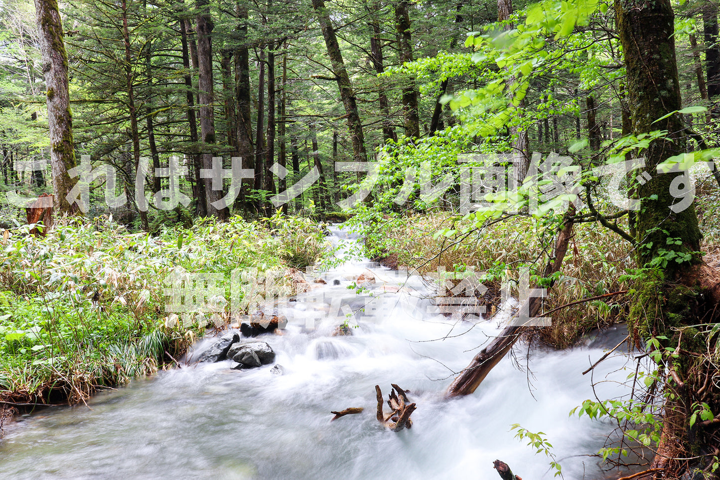 Murmuring stream_2