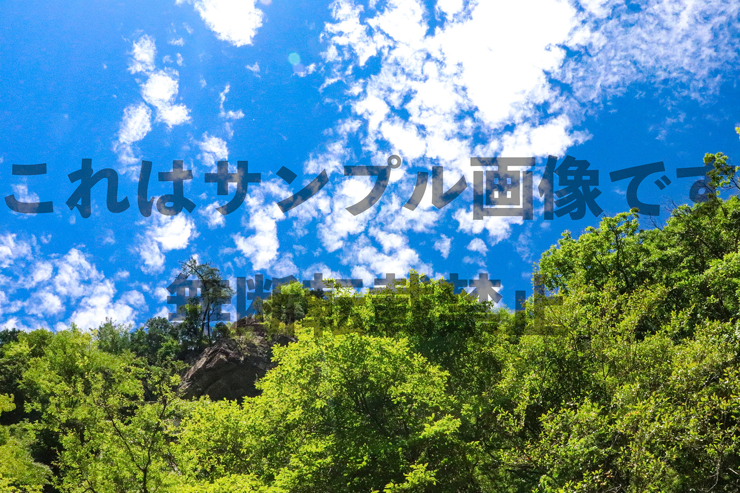 Blue Sky and Fresh Greenery_1