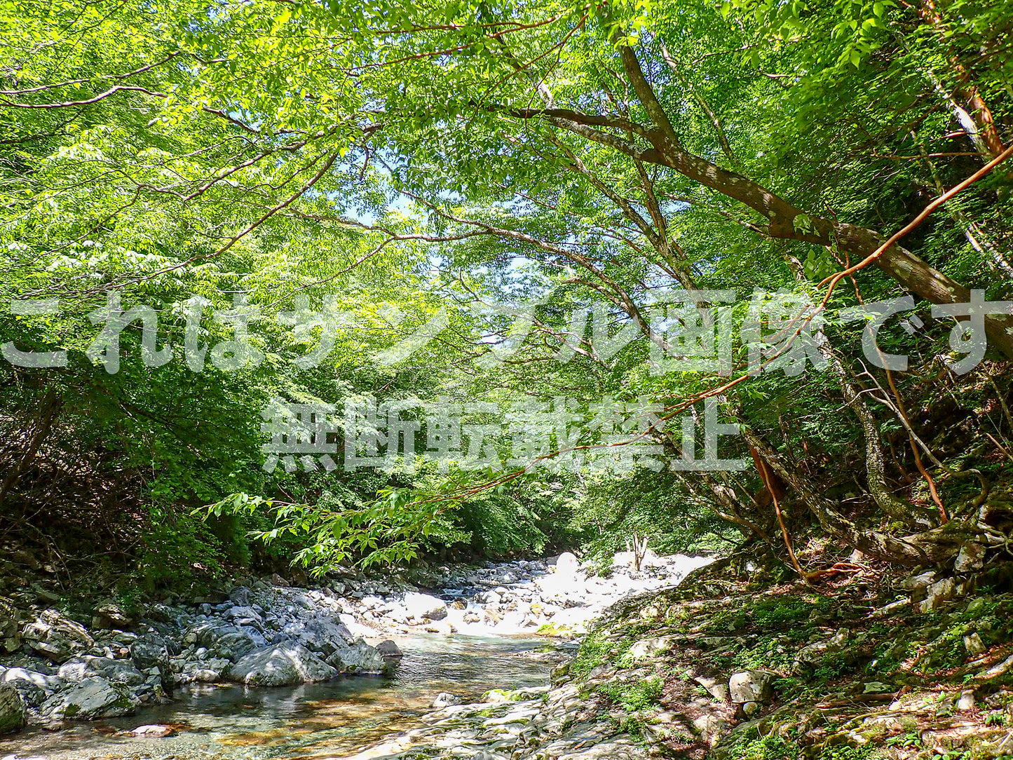 Mountain Stream and Greenery_1