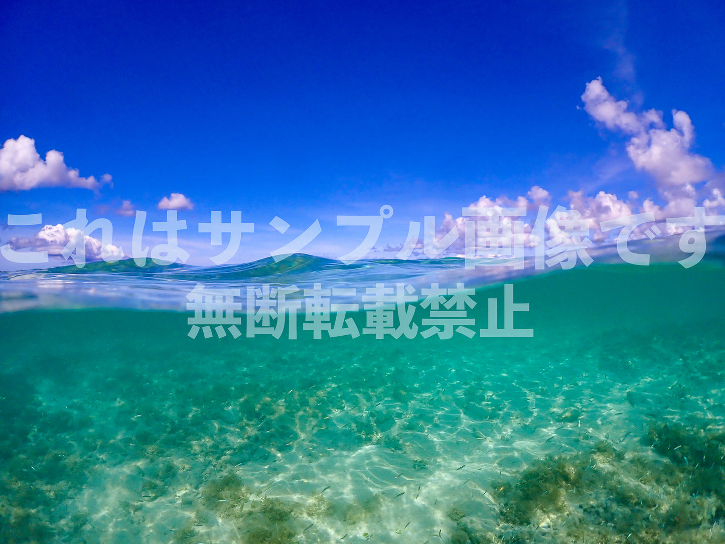 Southern Seas_3