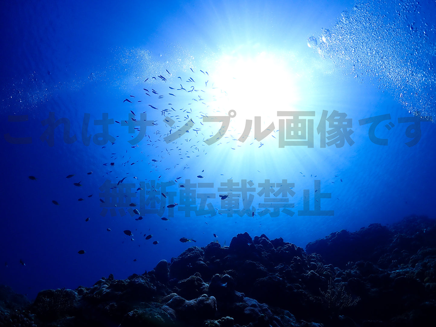 水中と太陽_2
