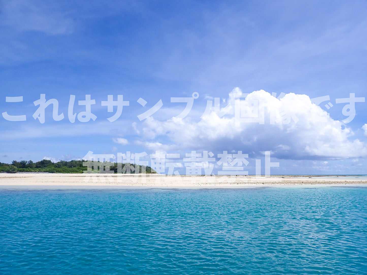 南国の海_13