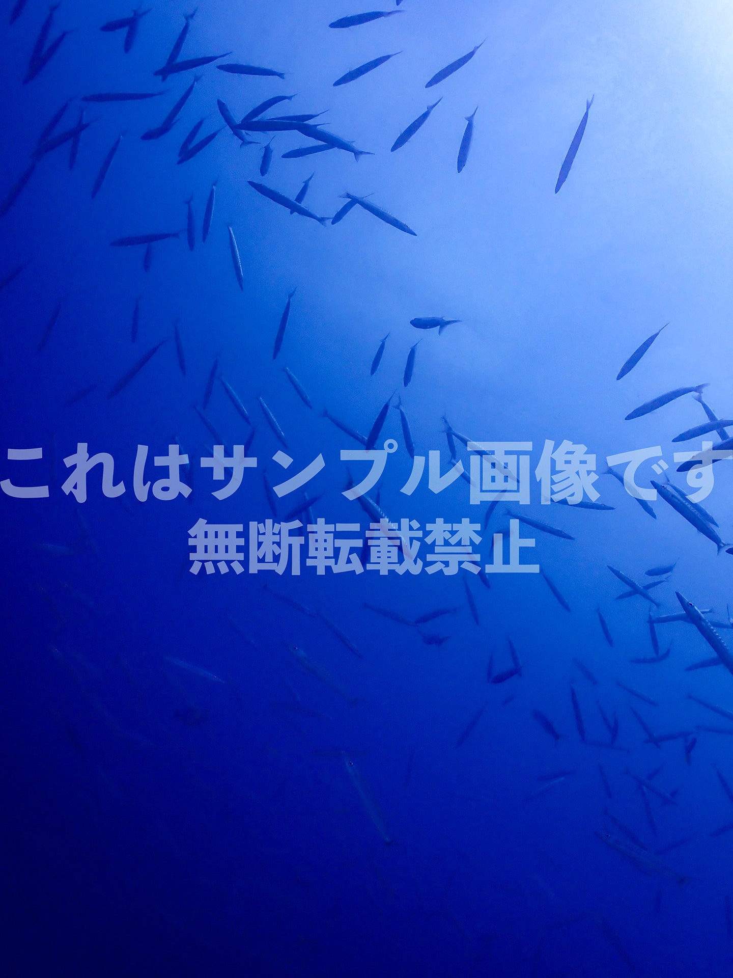 Fish school_3