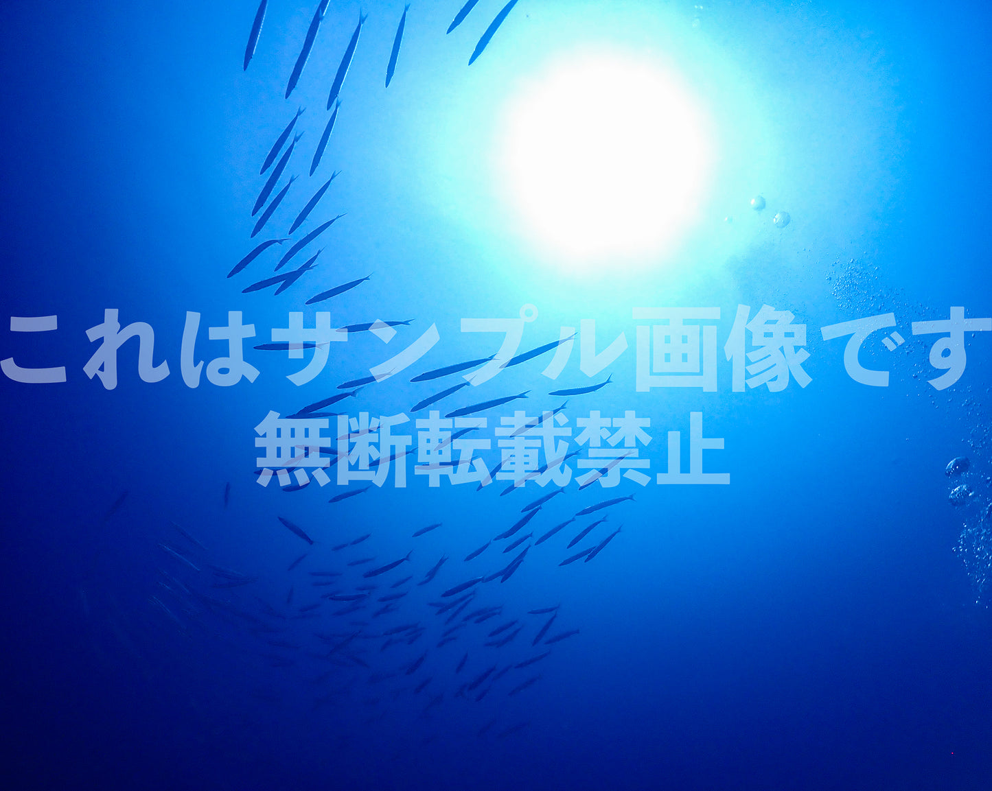 Fish School_7