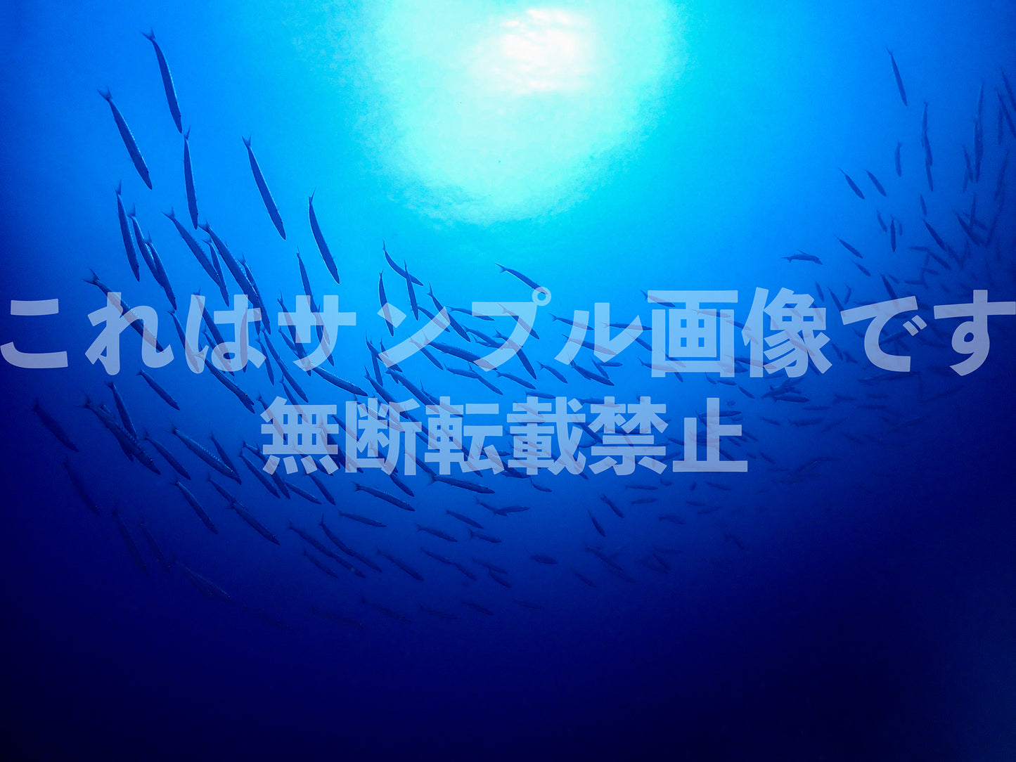 School of fish_8