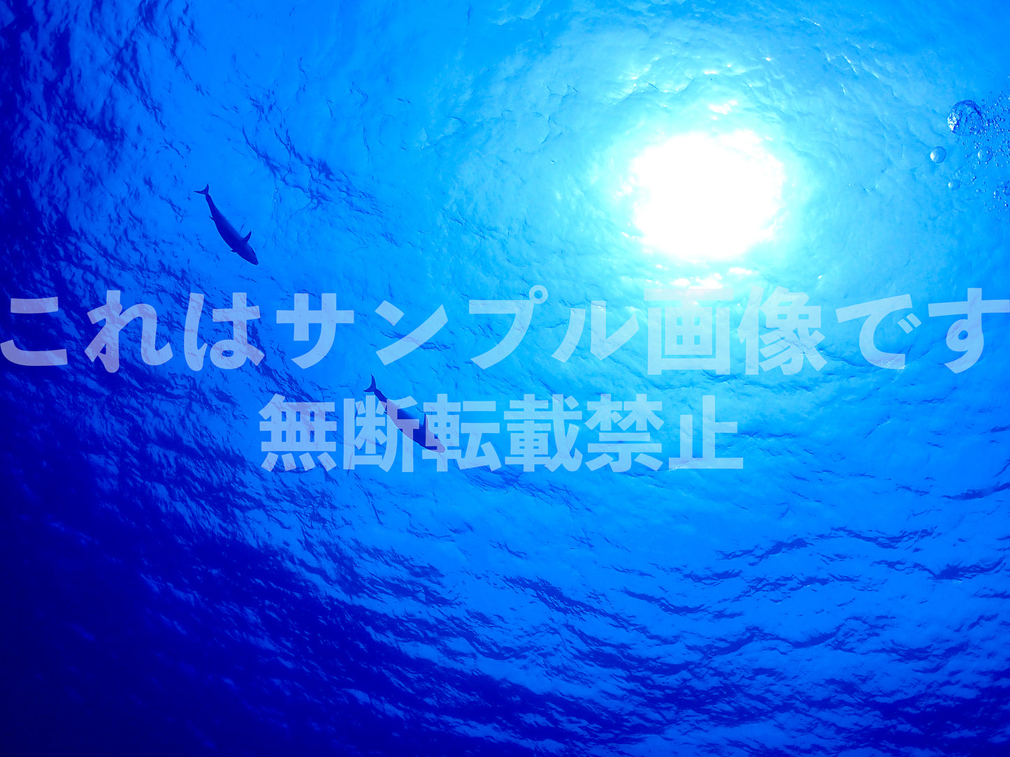 水中と太陽_3