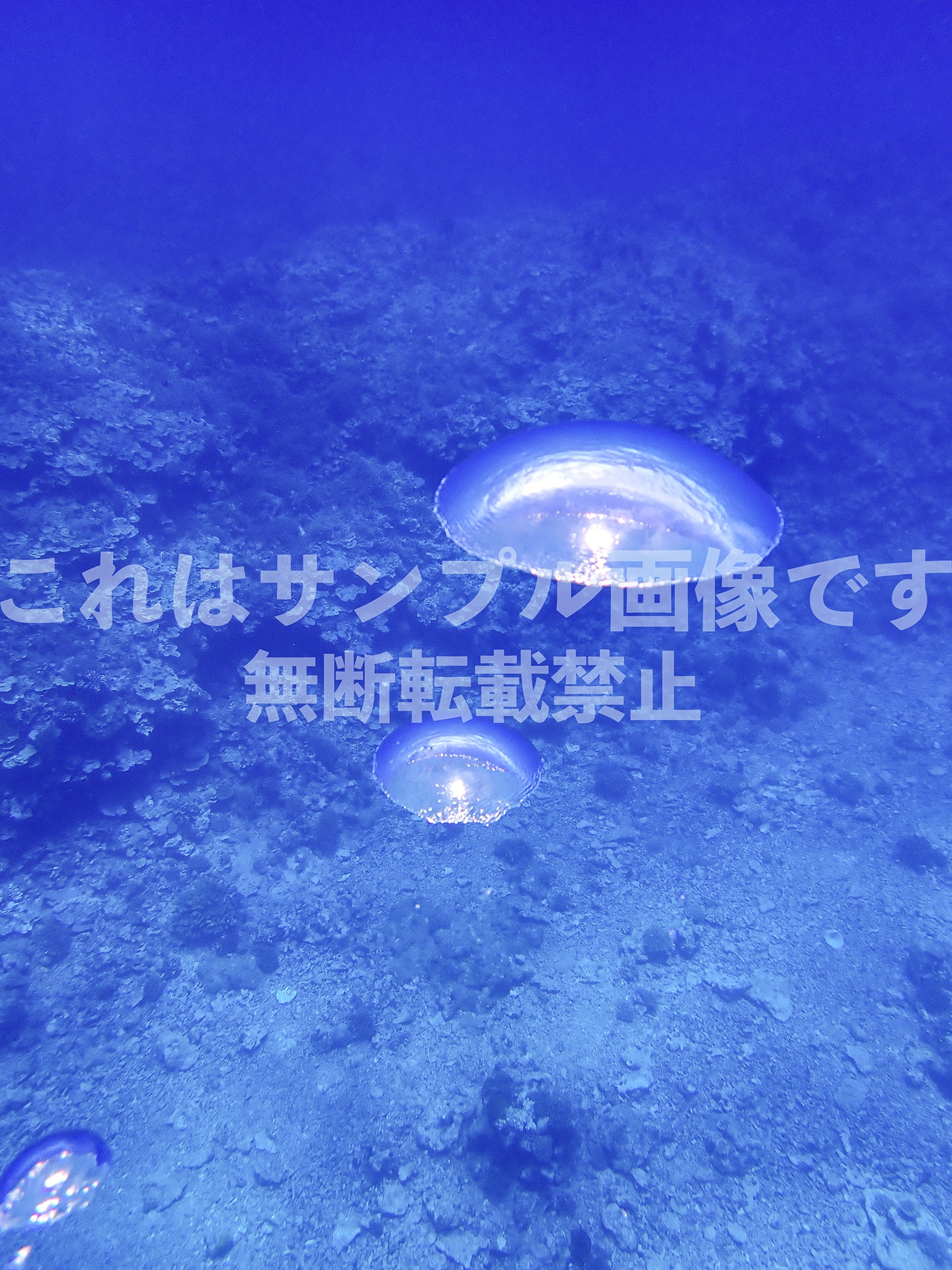 Bubbles_1