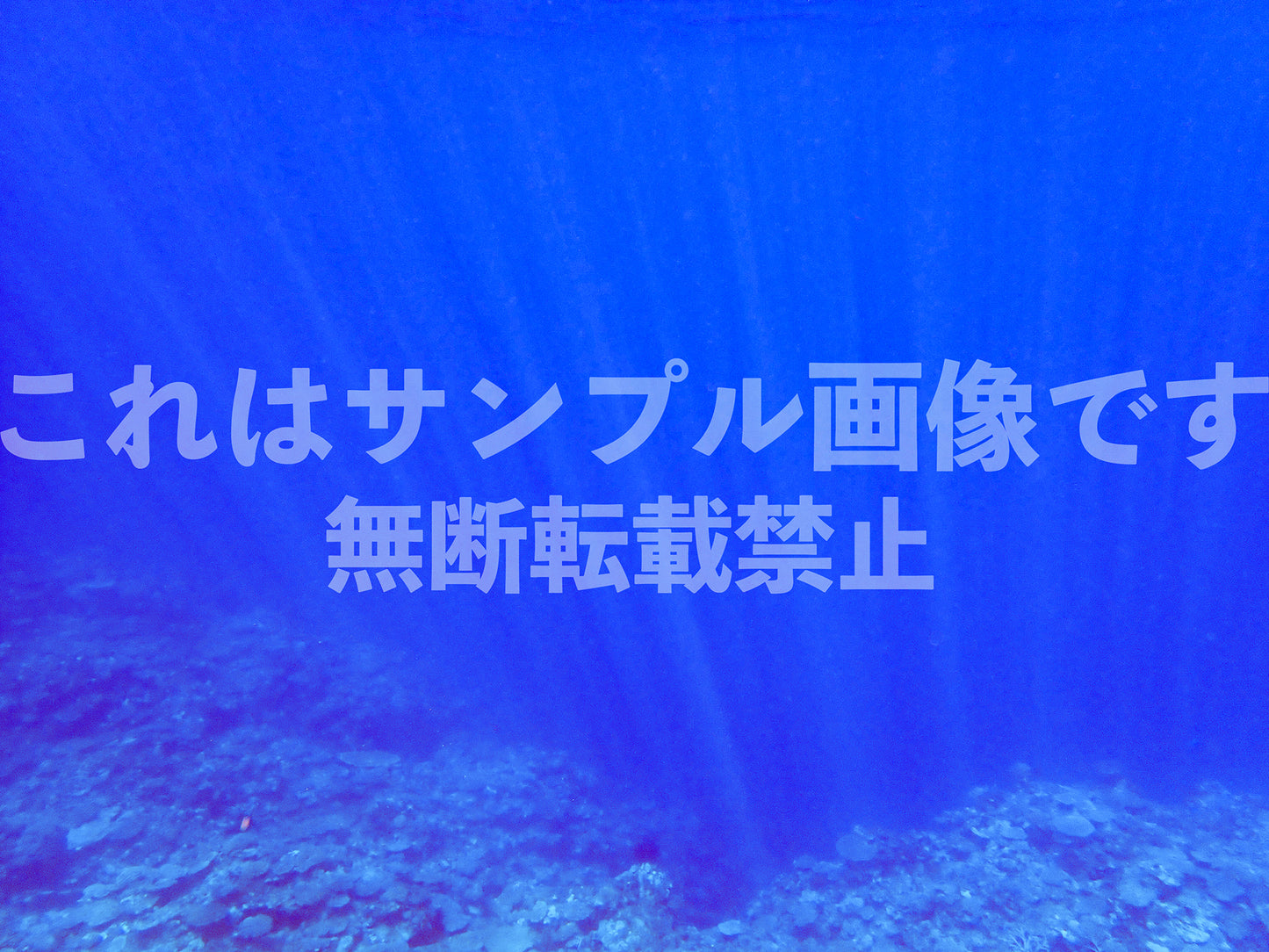 Sea_1