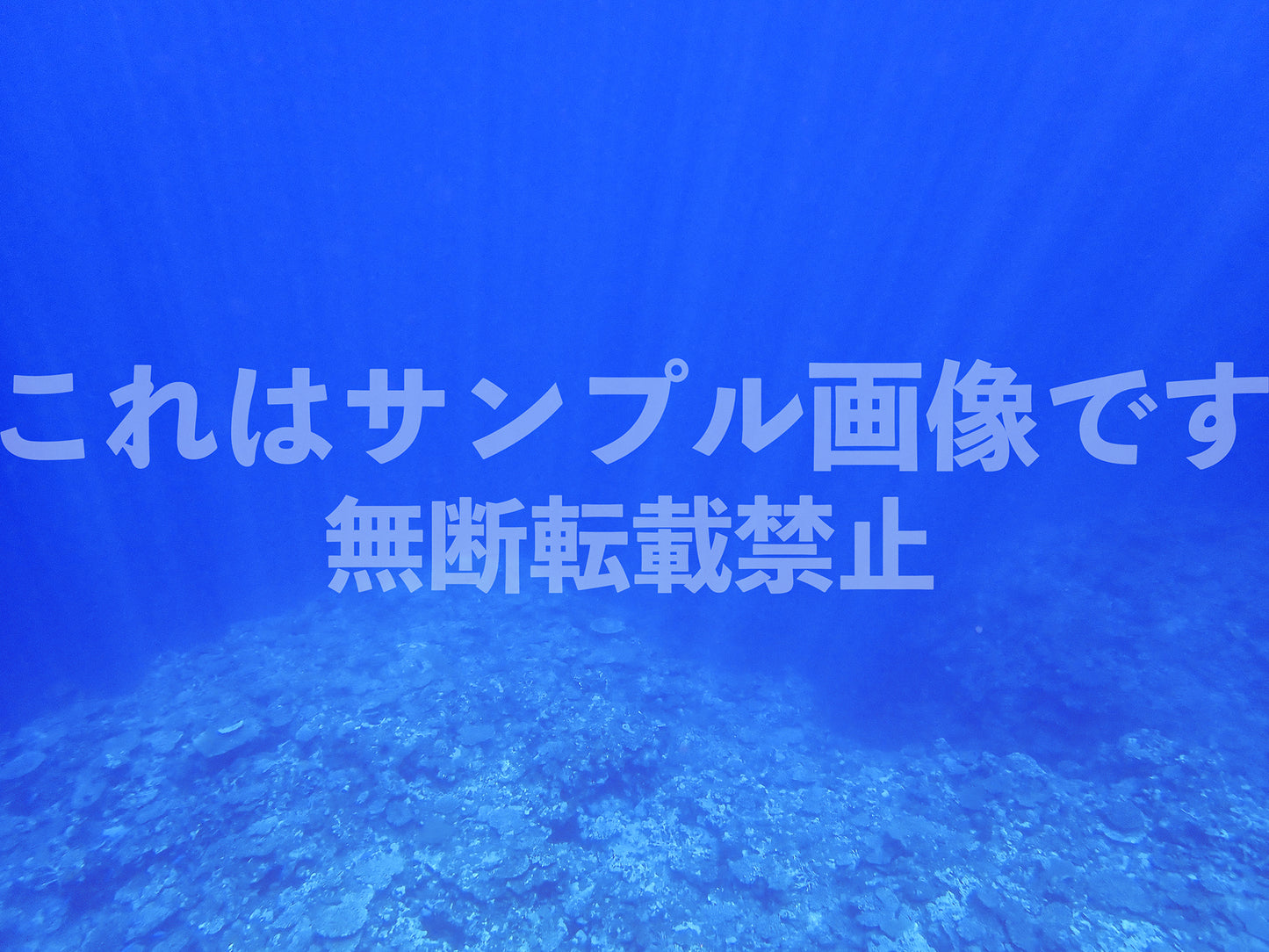 Sea_2