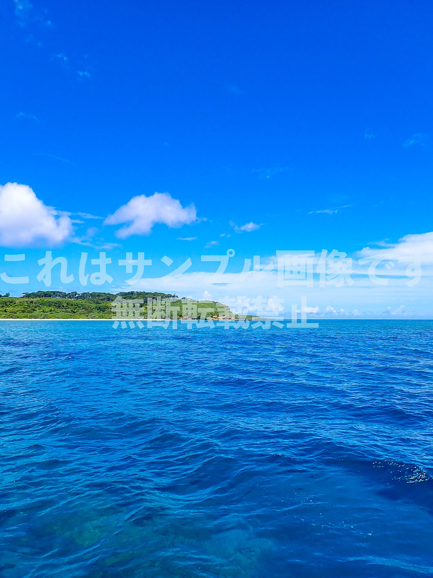 Tropical Sea_5