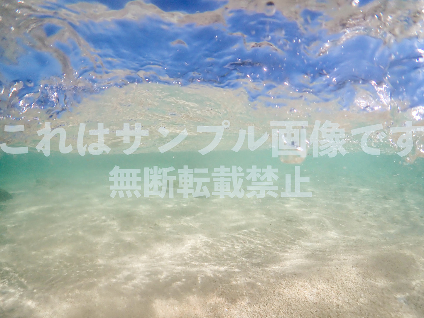 In the water_37