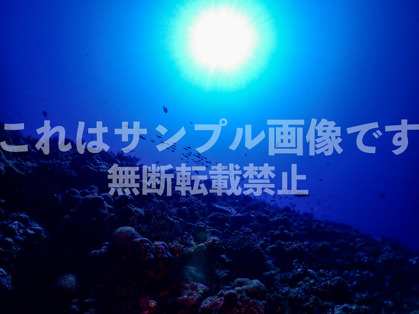 Underwater and Sun_14