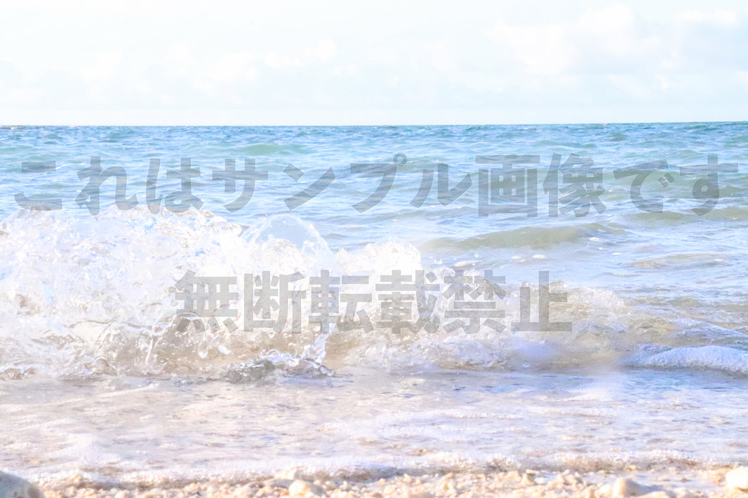 波_1