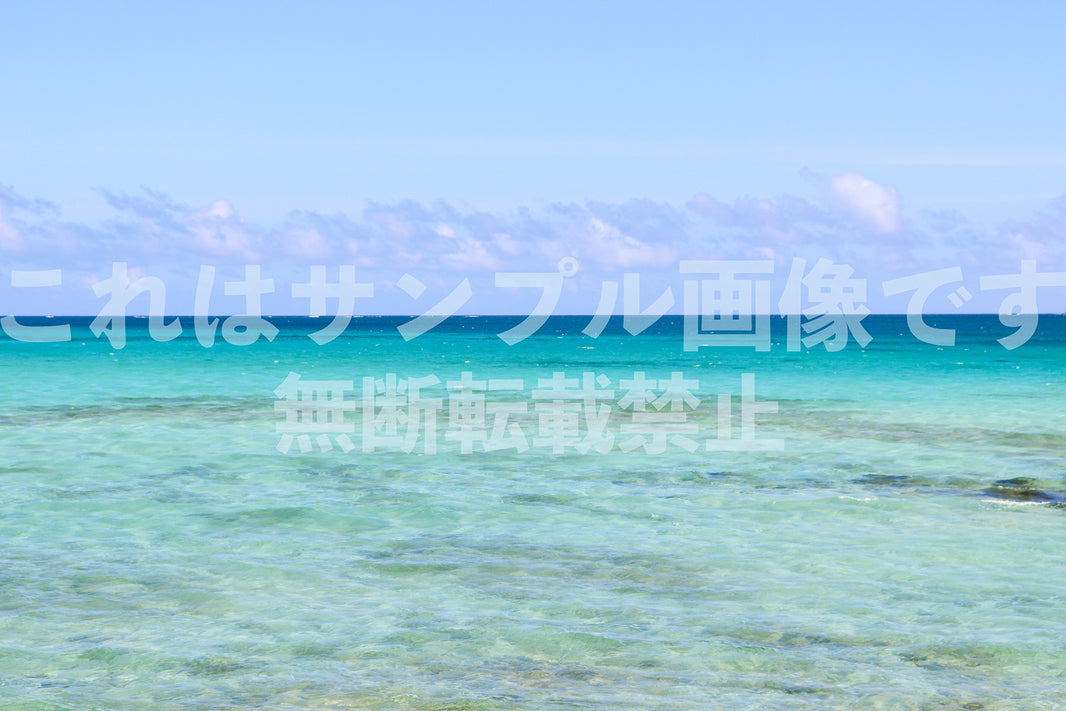 エメラルドグリーンの海_8
