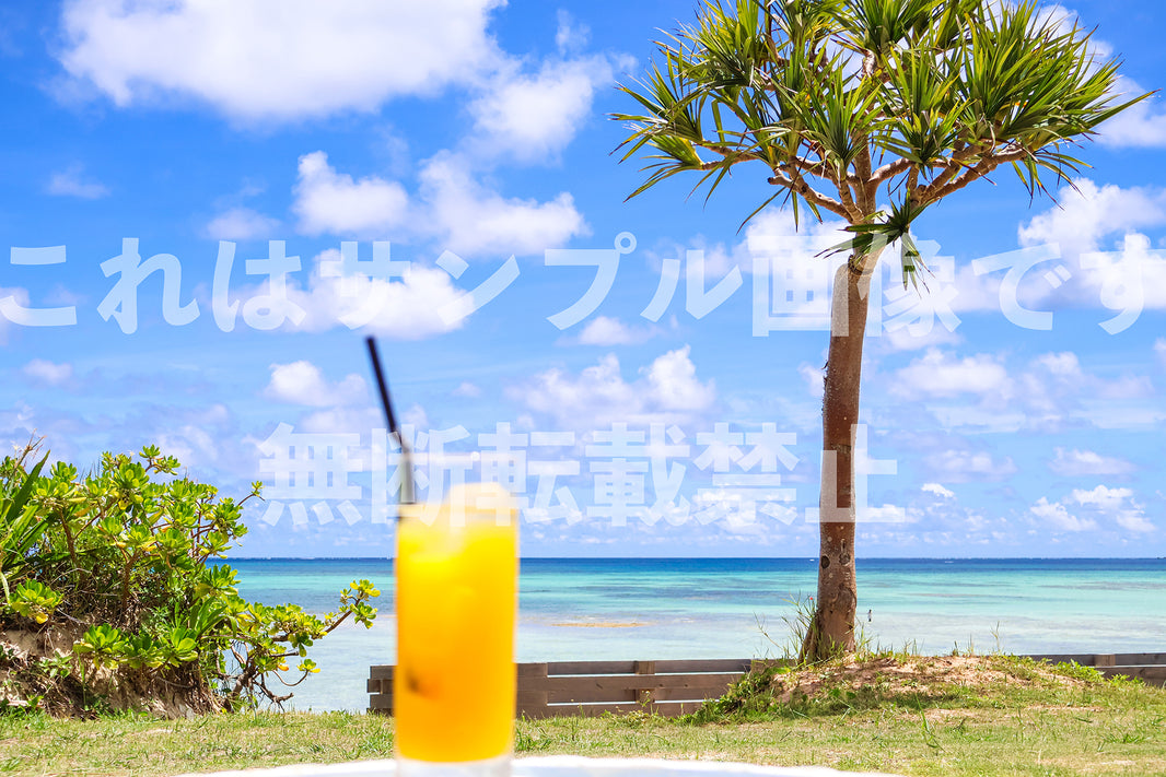 リゾートの風景_2