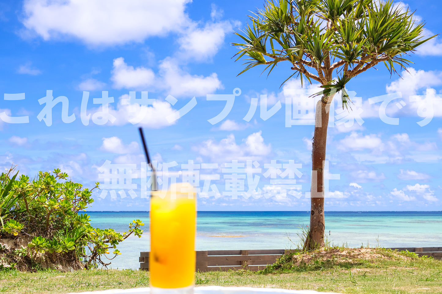 リゾートの風景_2