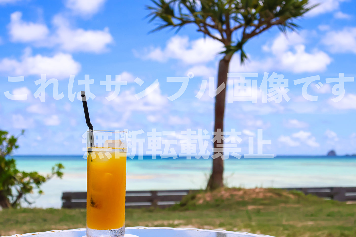 リゾートの風景_3