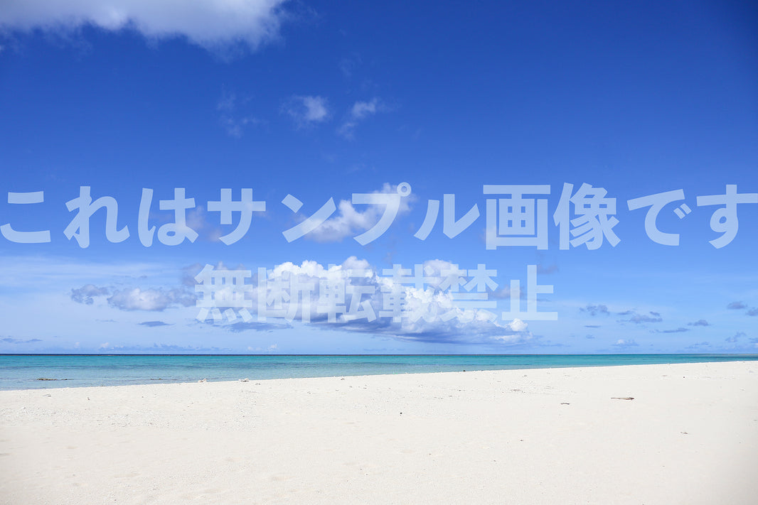 南国の海_6
