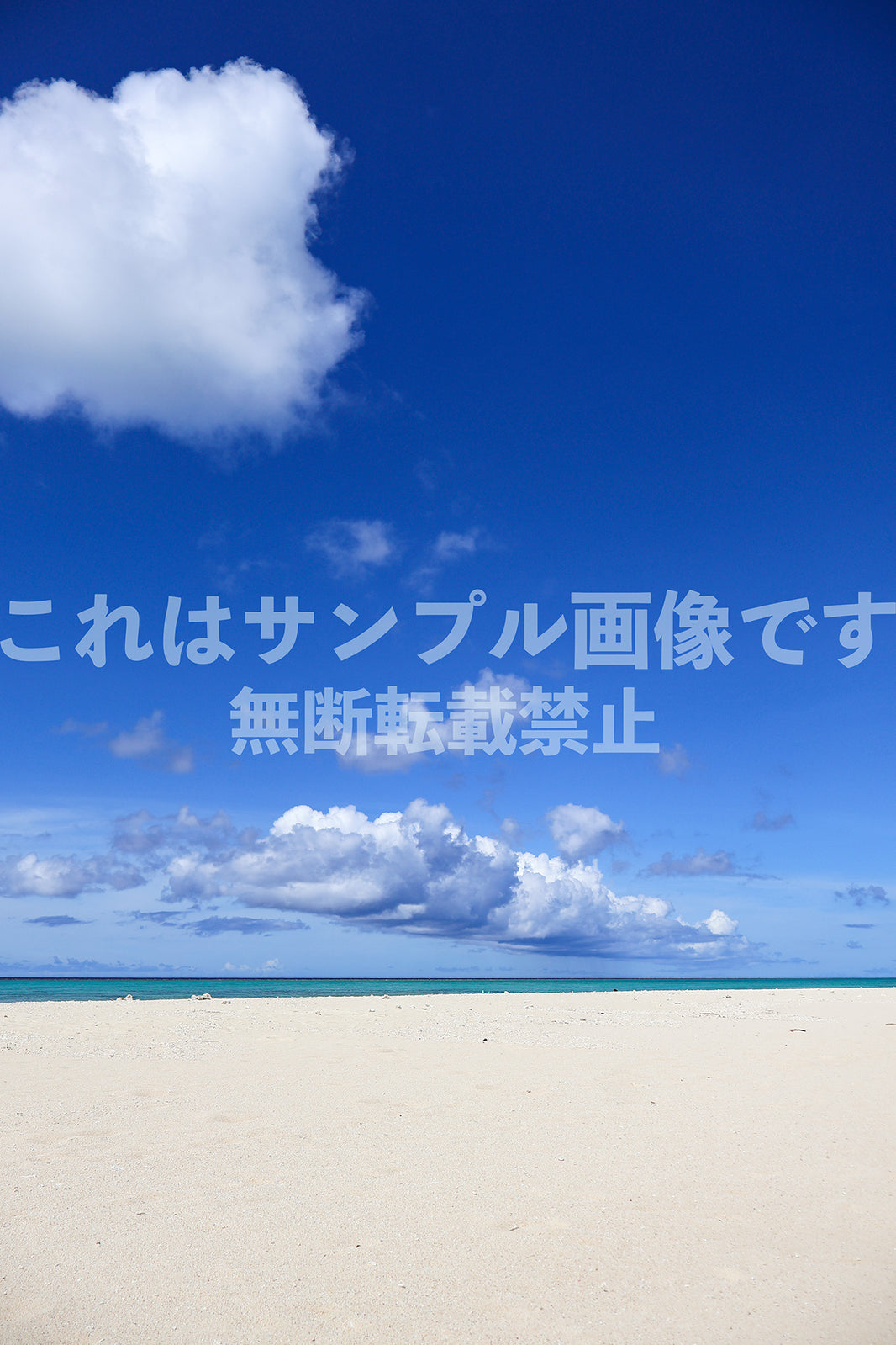 南国の海_8