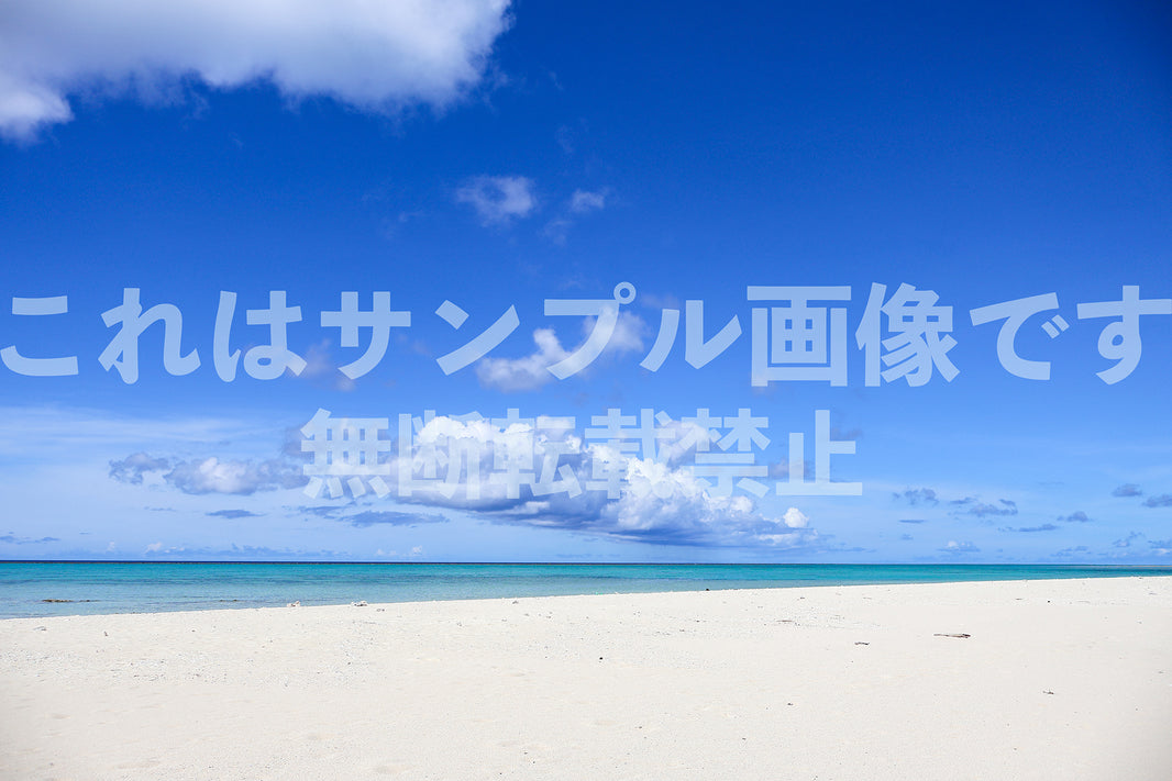 南国の海_9