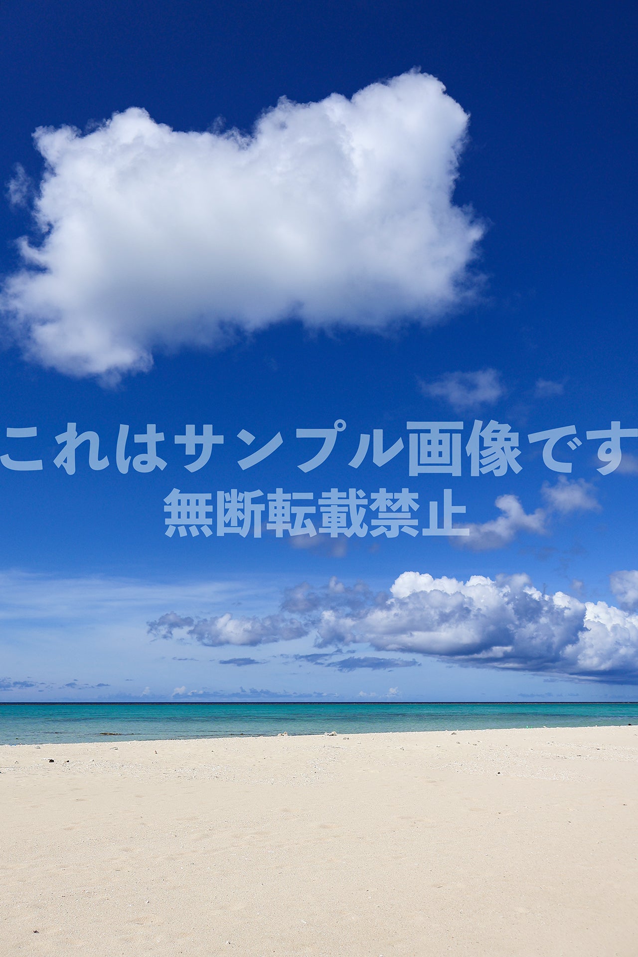 南国の海_10