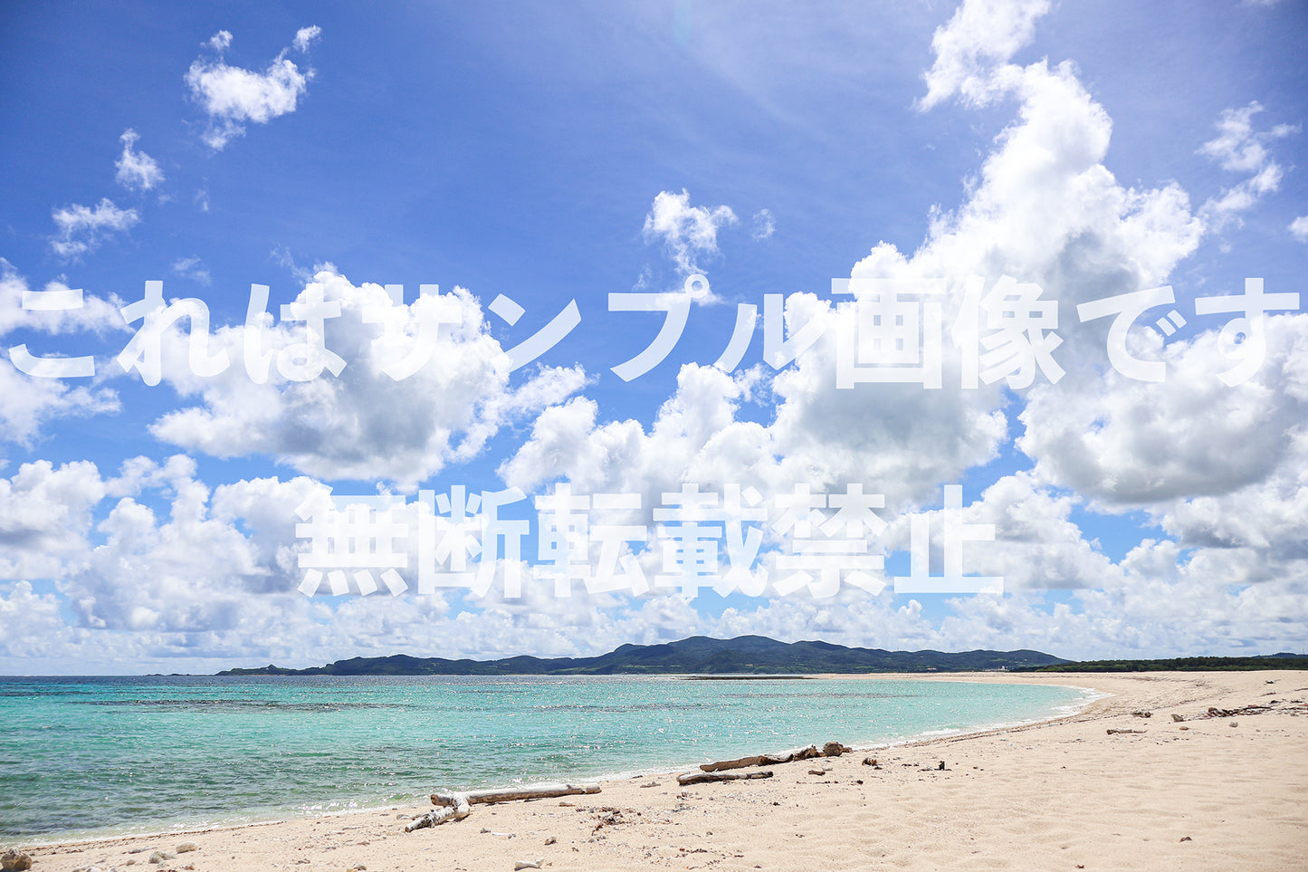 南国の海_11