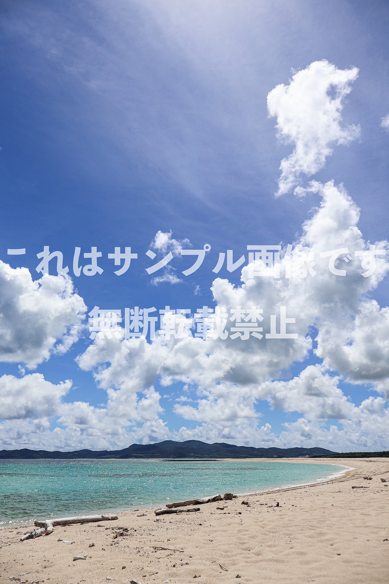 南国の海_12