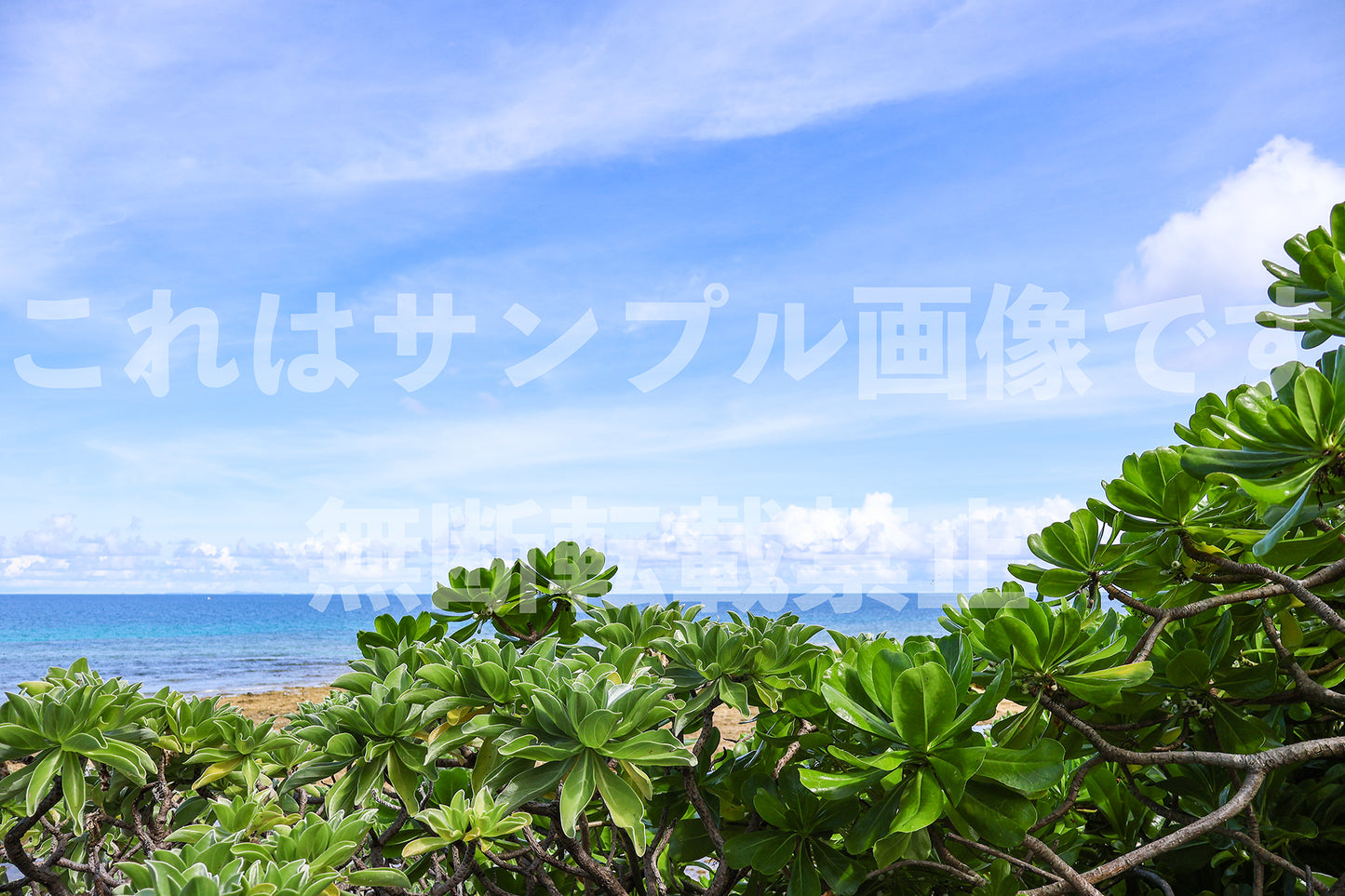 海と空_10
