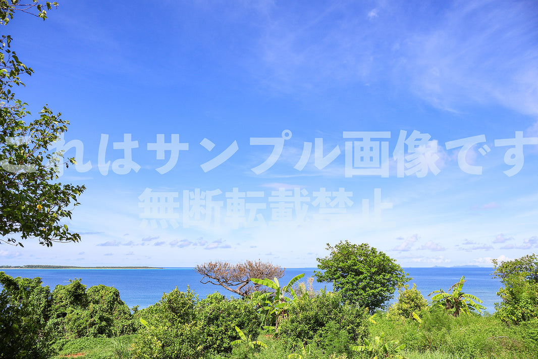 島_6
