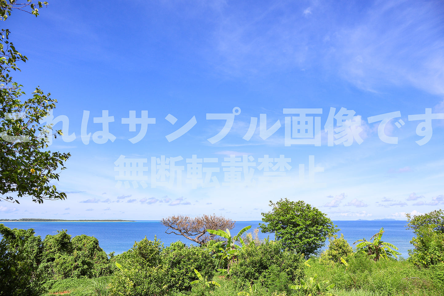 島_6