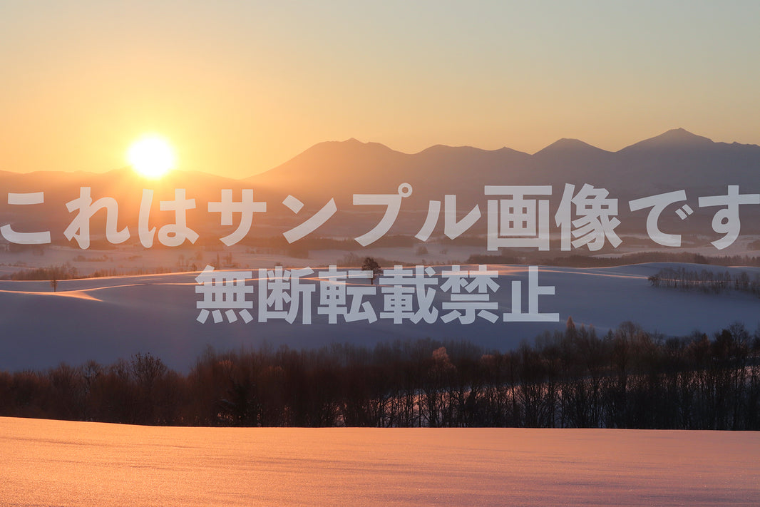 雪原と日の出_2