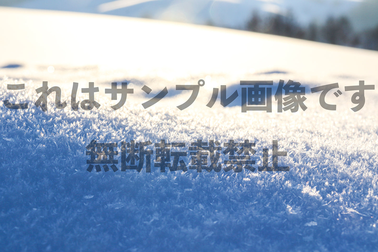 雪の結晶_2