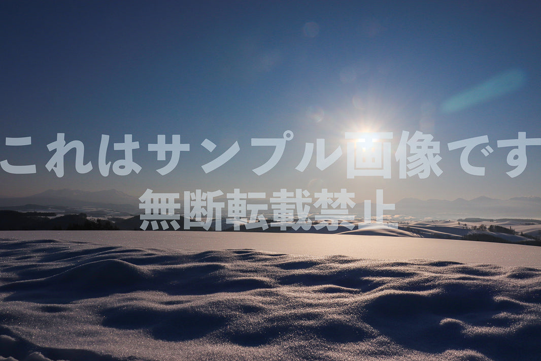 雪原と日の出_6