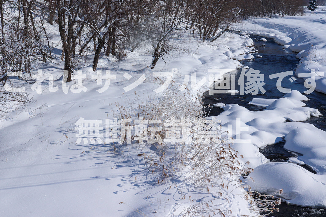 雪の川辺_1