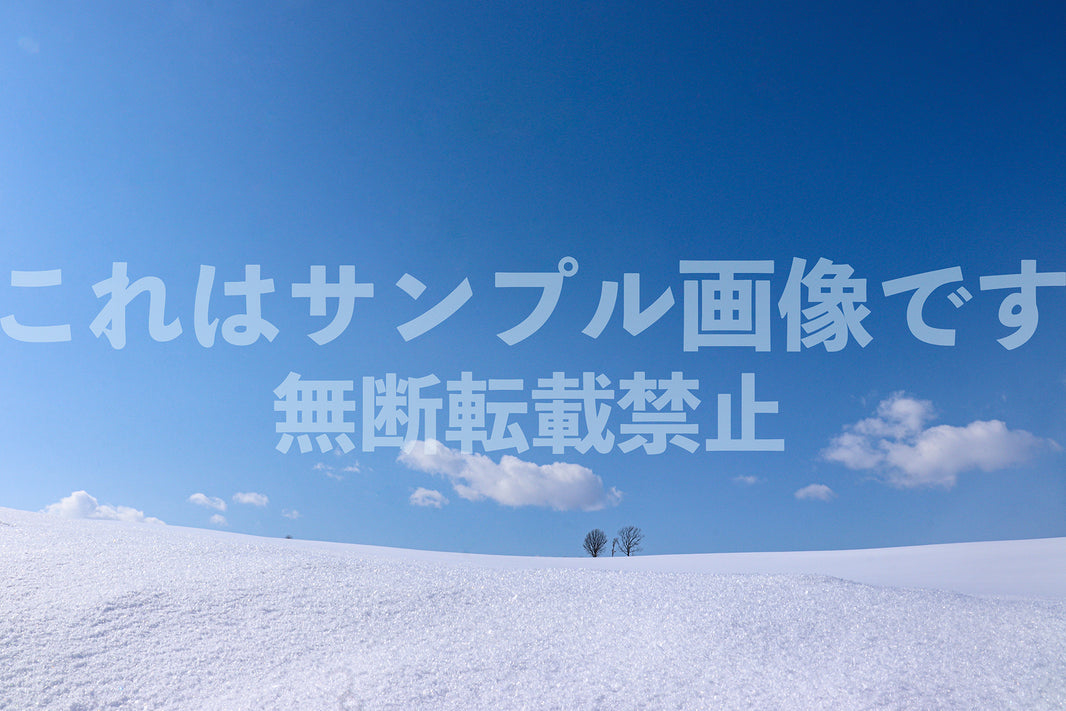 青空と雪原_1