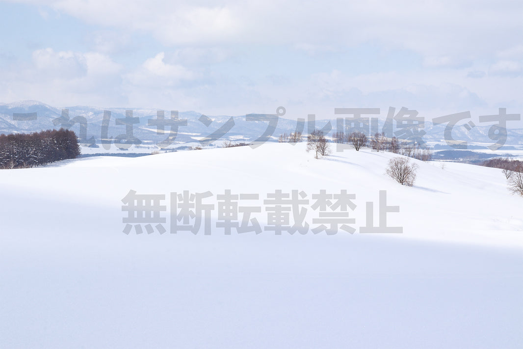 雪の丘_3
