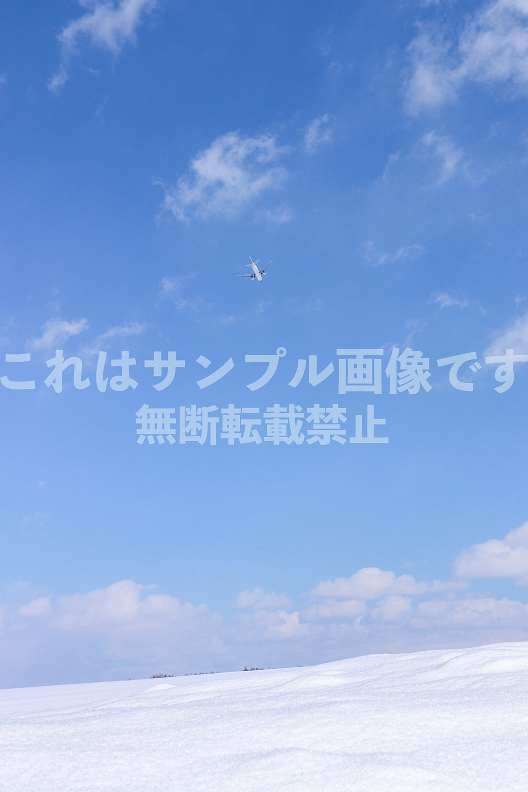 雪原と飛行機_1