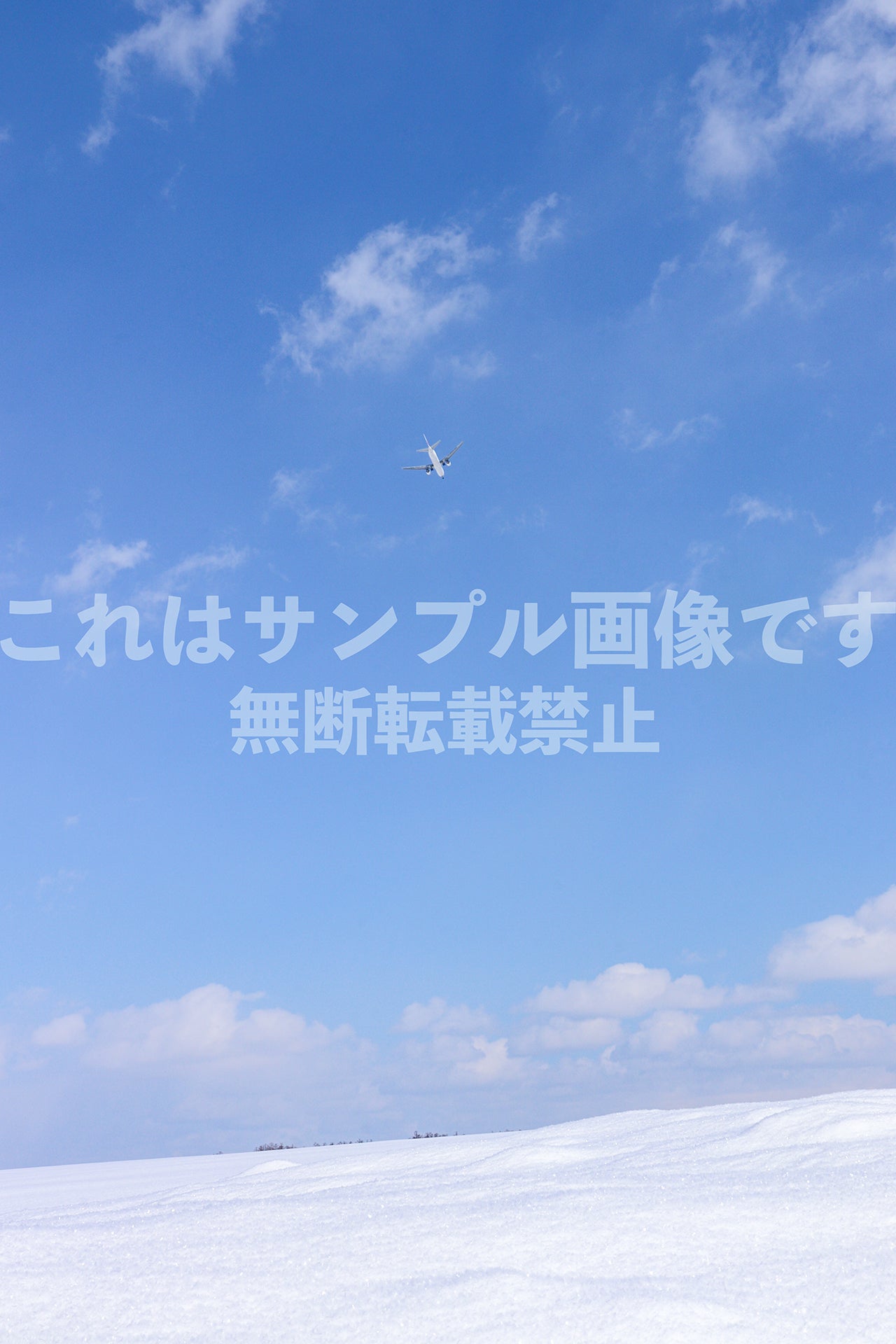 雪原と飛行機_1